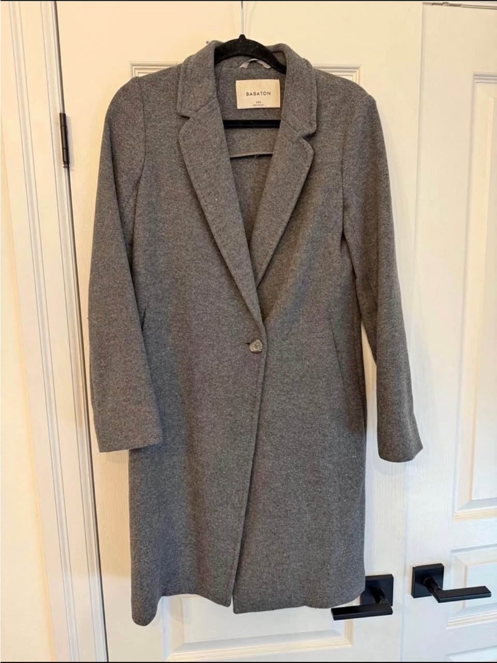 Aritzia Babaton Stedman Coat